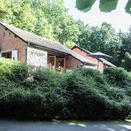Durbuy Forest With Pool *