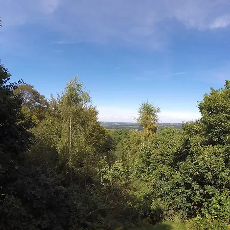 Durbuy Forest With Pool *